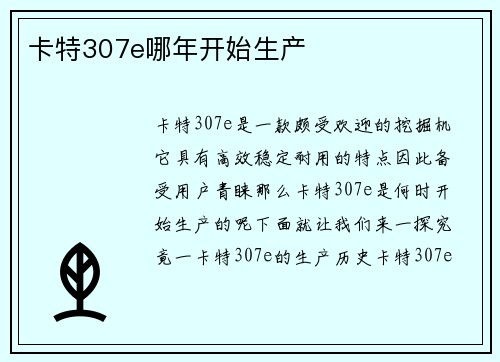 卡特307e哪年开始生产